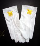 Shine Dress Gloves